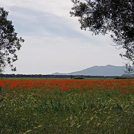 Casa Vacanze Capalbio Esterno foto