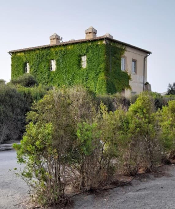Casa Vacanze Capalbio Esterno foto